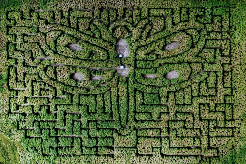 Birdsong Safari Tent