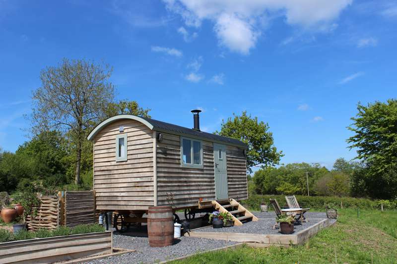 Dimpsey Glamping Dimpsey Glamping, Beetham Farm, Combe St Nicholas, Chard, Somerset TA20 3PY