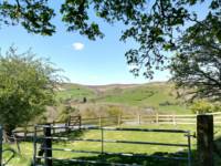 Cae Bell Secluded Tent Pitch