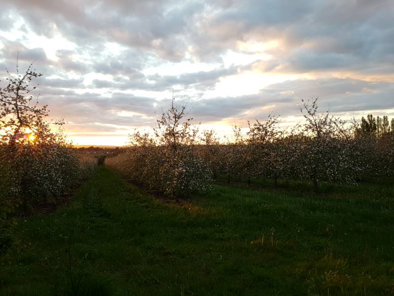 Hawthorn Ridge Bell Tent