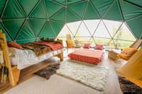 Spacious Dome Oak
