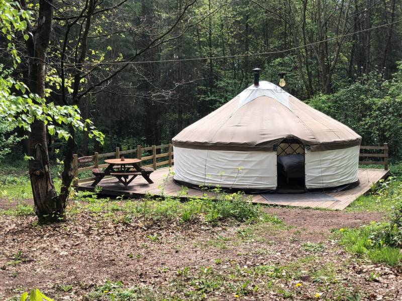 Woodpecker Yurt