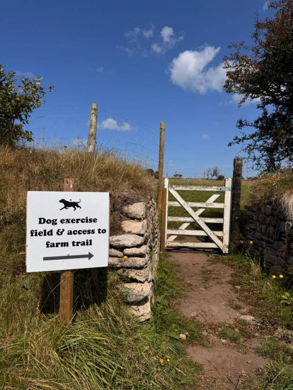 Dog Friendly Camping for 1-6 people