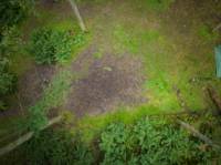 Woodland Tent Pitch 6 (3.5m x 3.5m)