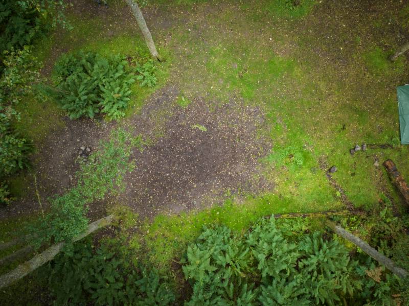 Woodland Tent Pitch 6 (3.5m x 3.5m)