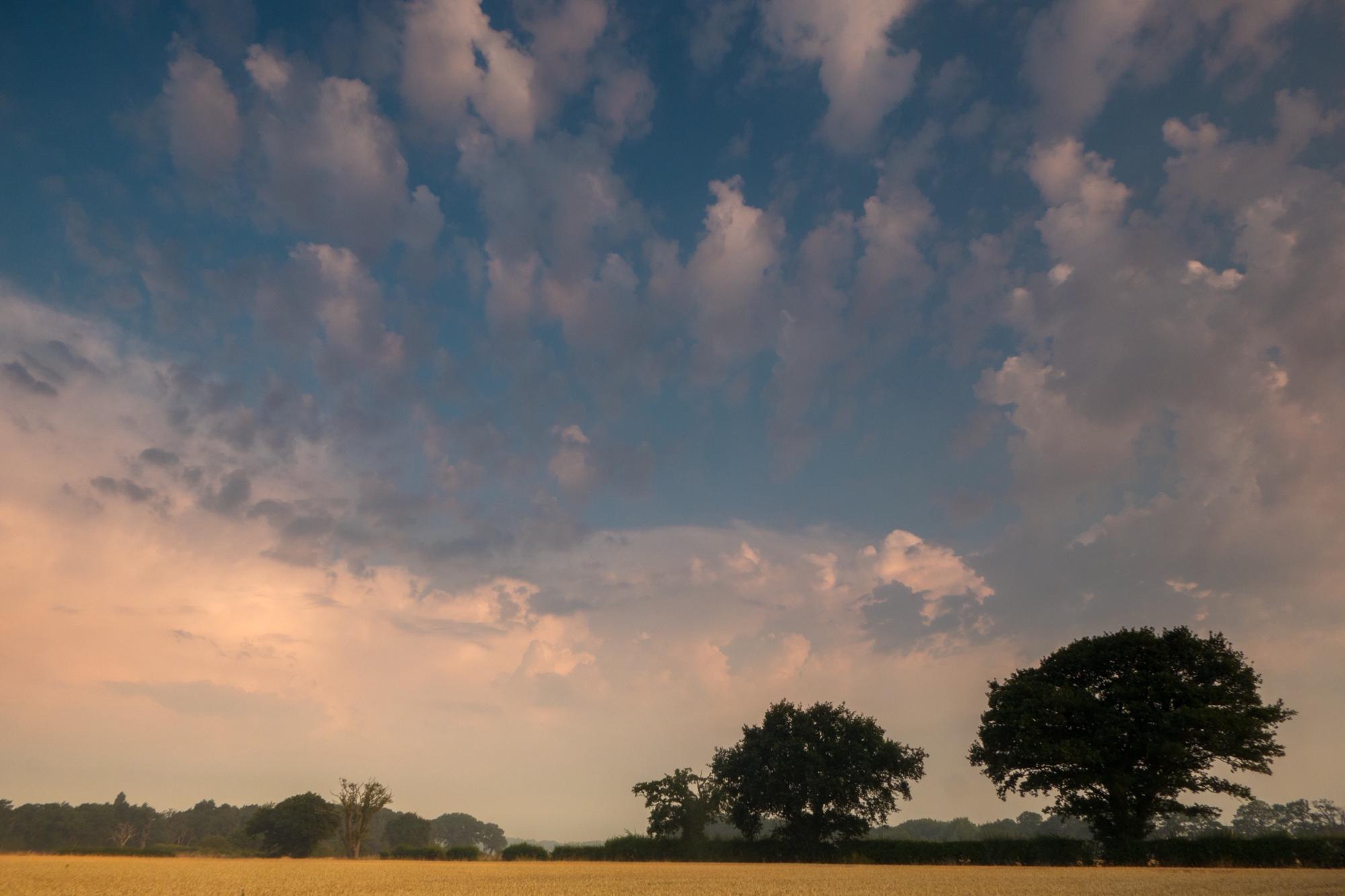 Loughton Camping | Campsites Near Loughton, Essex