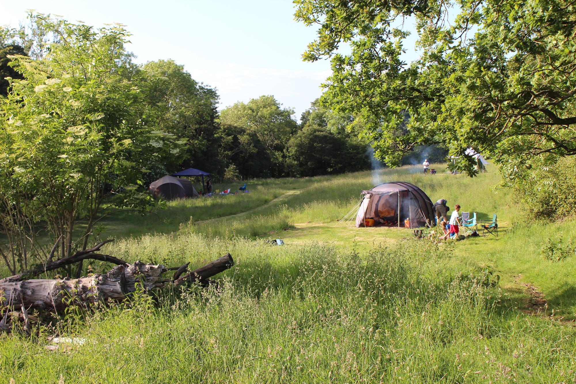 Campsites in Ashford holidays at Cool Camping