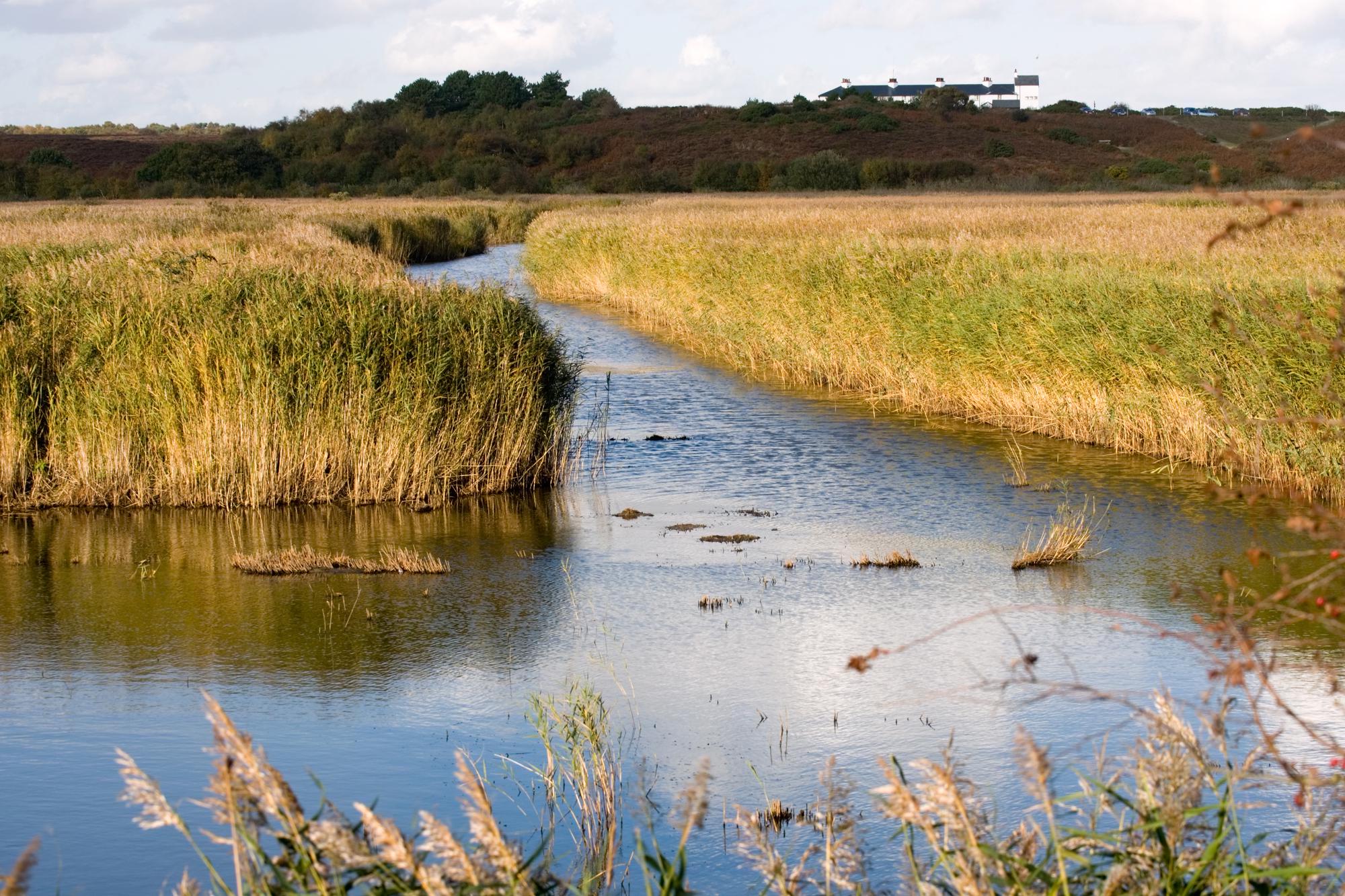 Saxmundham Camping | Campsites near Saxmundham, Suffolk