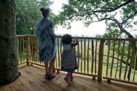Apple Tree Yurt