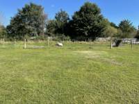 Pitch 9