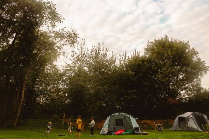 The Dell - extra large pitch