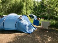 Double Forest Tent Pitch