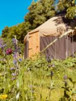 Mugwort Yurt
