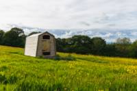 Tansy - Ensuite Grass Pitch