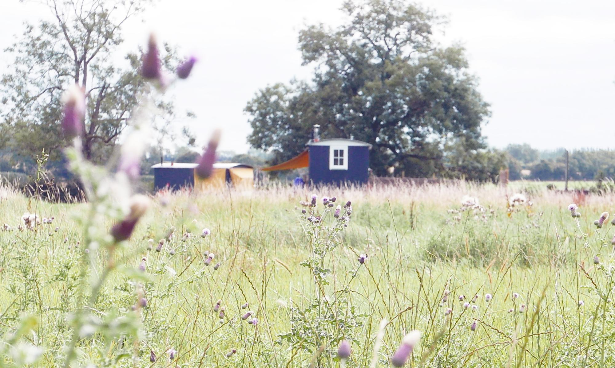 Glamping in South West England holidays at Cool Places