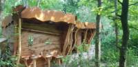 Woodland Tent Camping