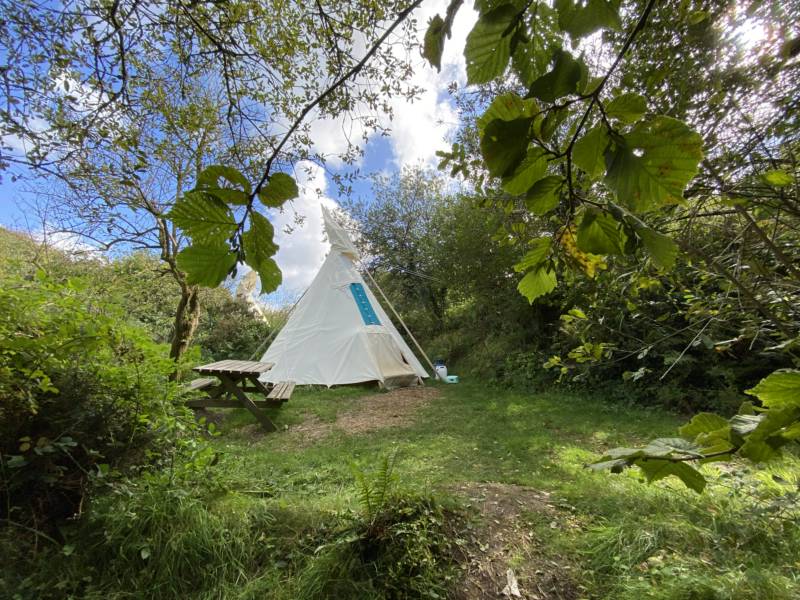 Jackies Medium - Medium Tipi - Private Site