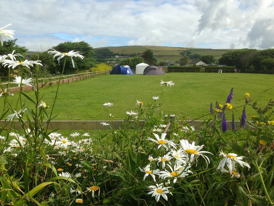 Campsites in Braunton holidays at Cool Camping