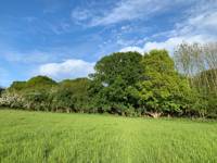 Hawthorn Grass Pitch 1