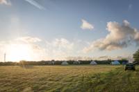 Grass Pitch