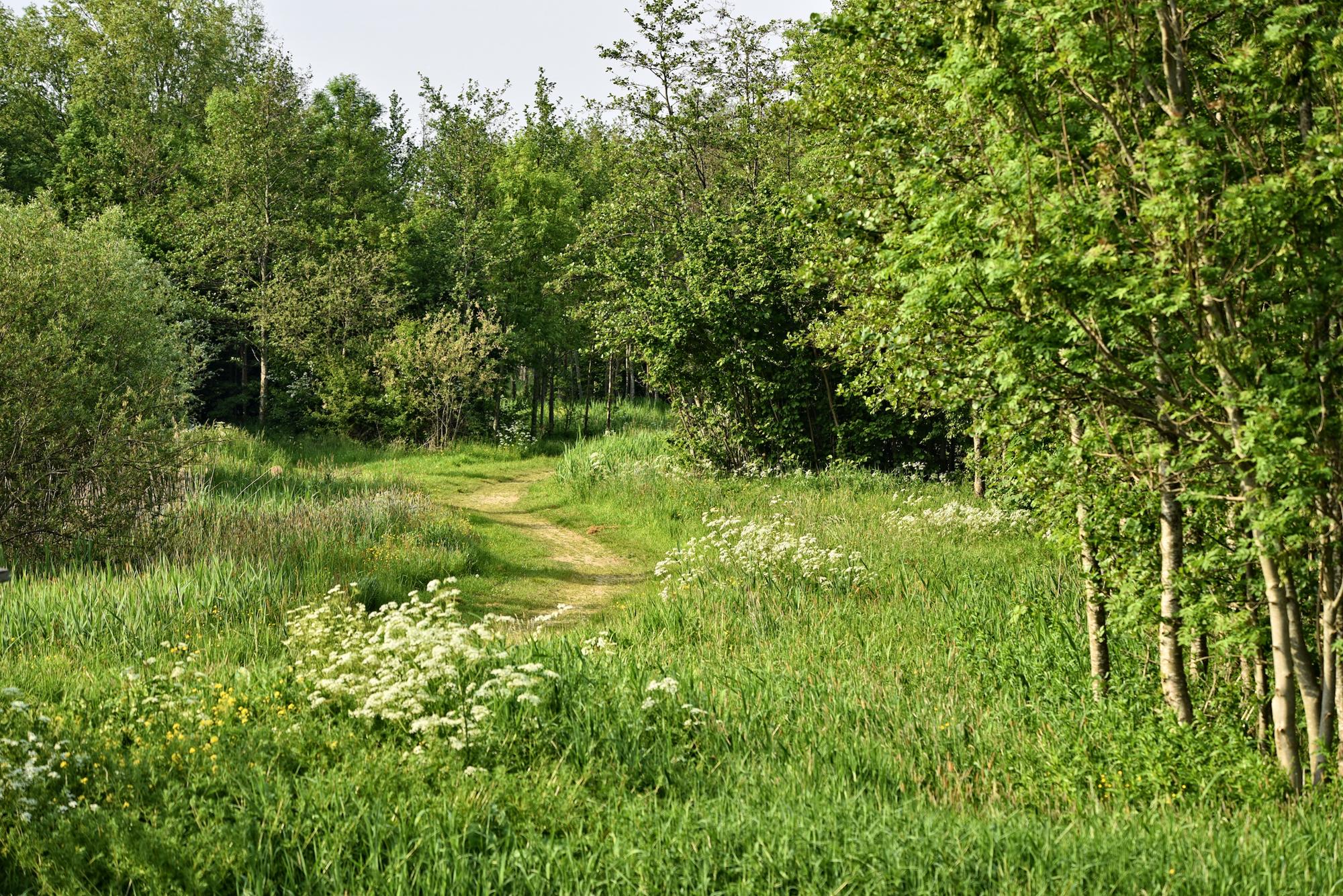 Horsham Camping Campsites near Horsham, Sussex