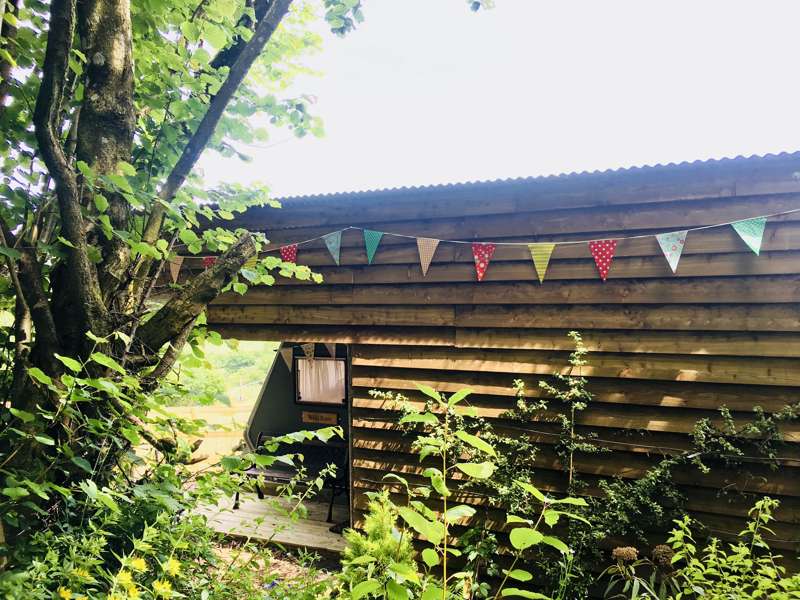 Wild Rose Vintage Caravan