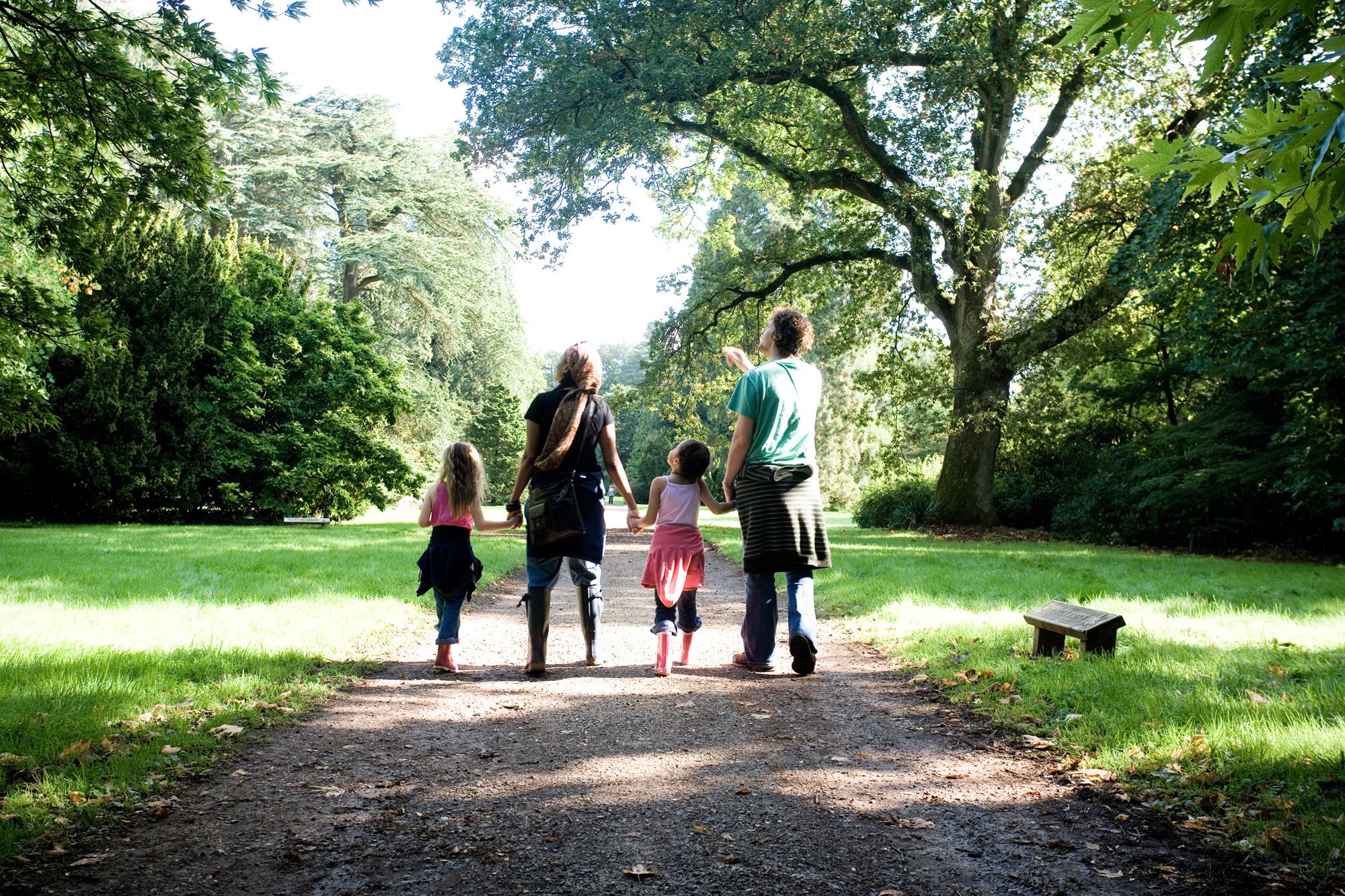 Westonbirt Arboretum, Gloucestershire | Cool Places