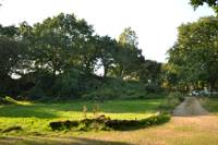 The Glade East End