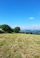 Grass Pitch for Campervan or Motorhome