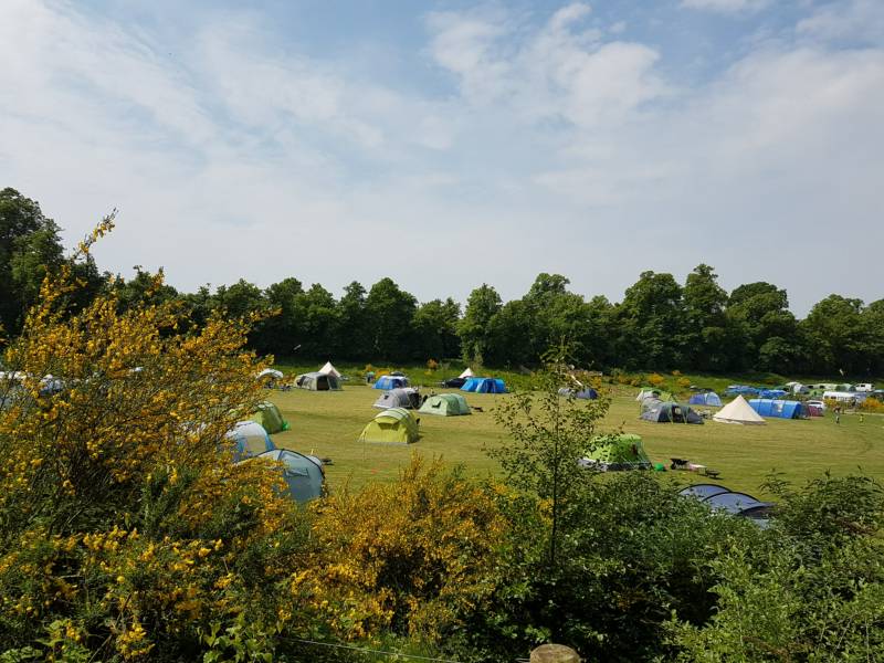 Bell Tent 3 field pitched MAPLE with porch