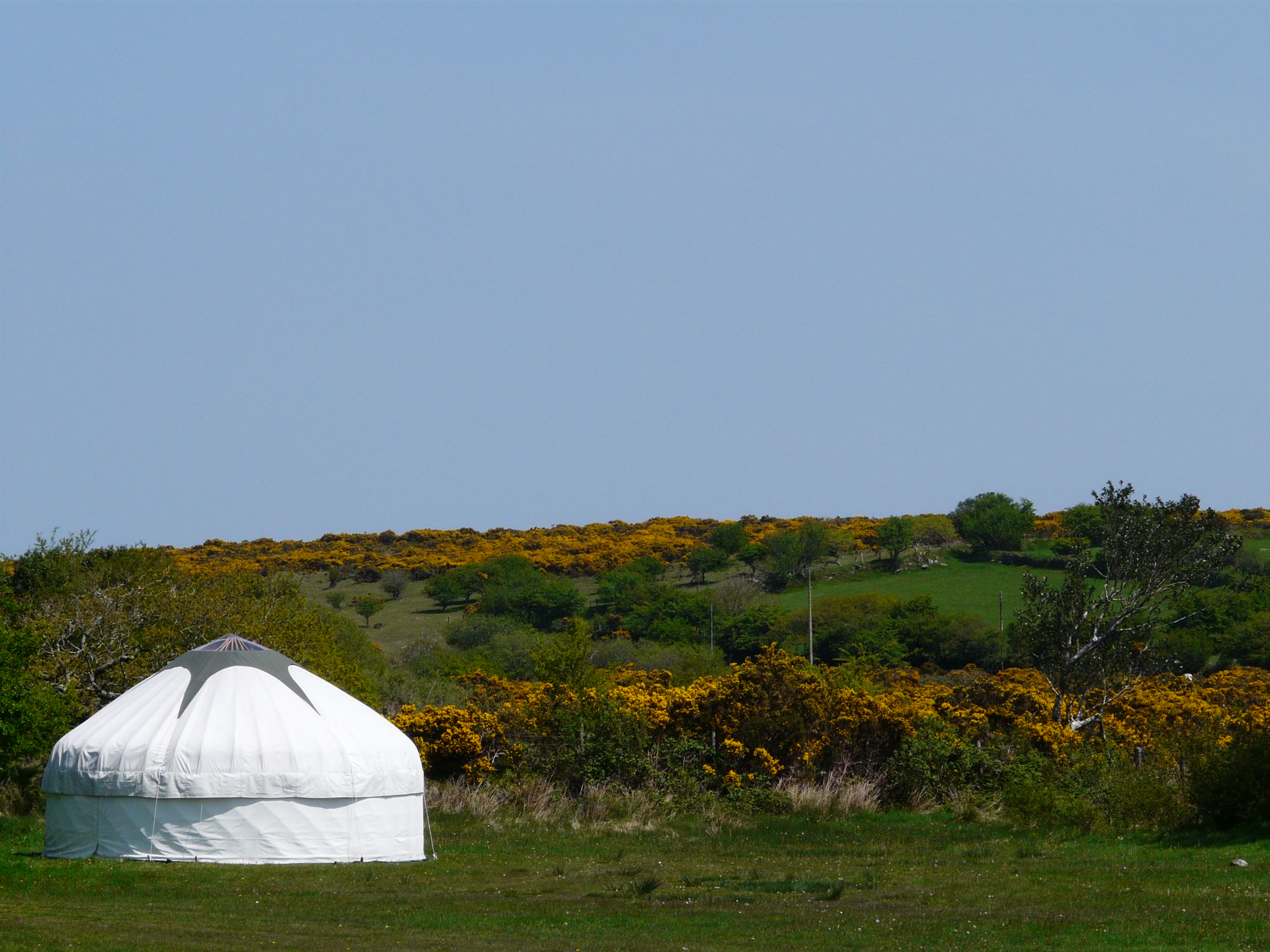 Glamping in Dartmoor – The best glampsites in the national park