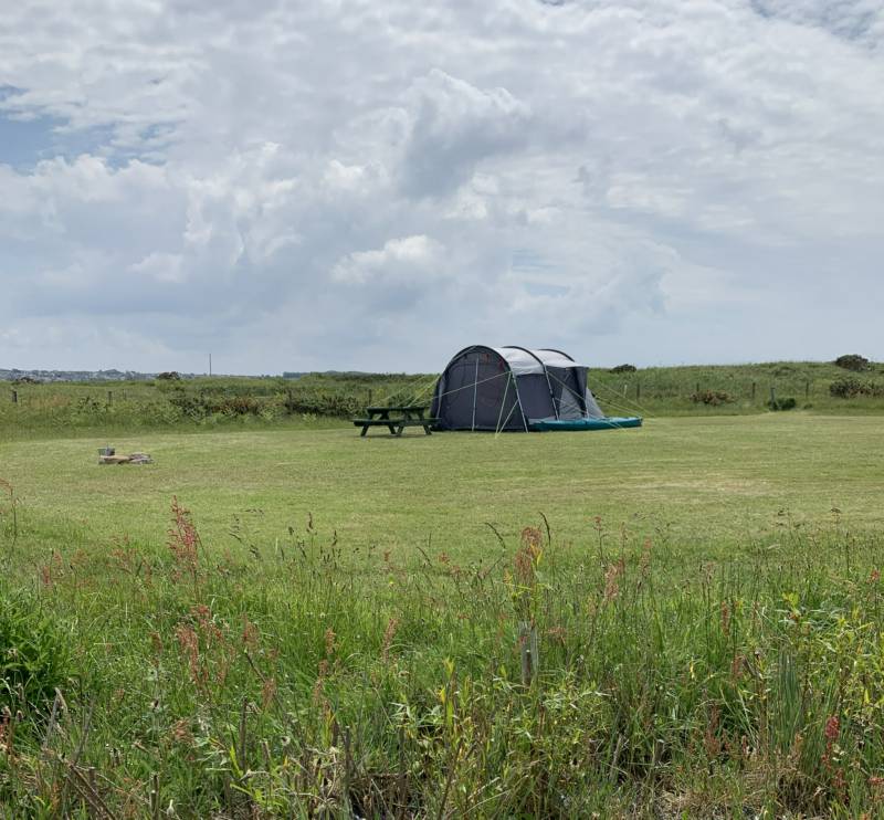 Skylark Meadow Pitch -  Tents Only