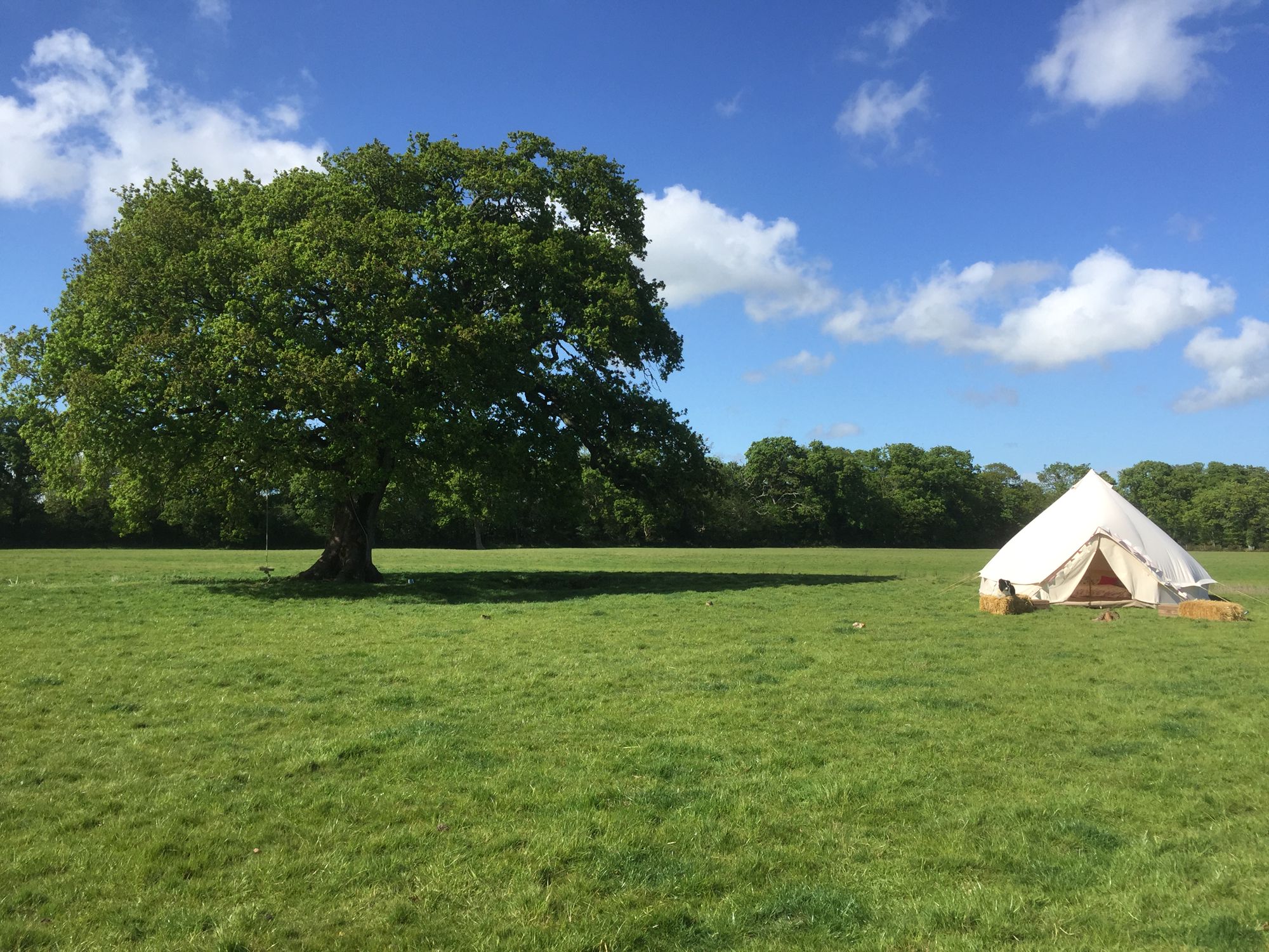 Campsites in Bere Regis – Cool Camping