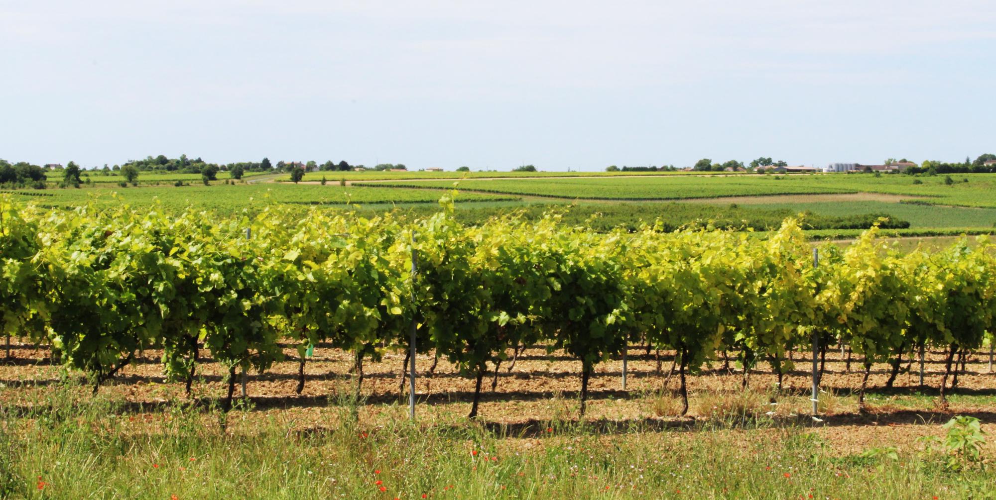 Glamping in Charente | Best Glamping Accommodation in Charente