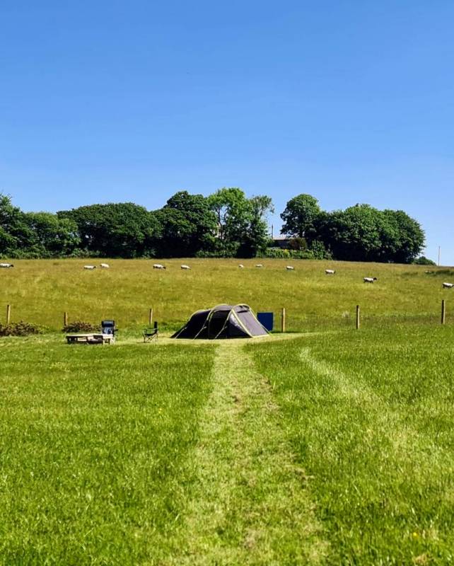 Camping Pitch for 1 Tent