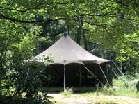 Woodland Tent