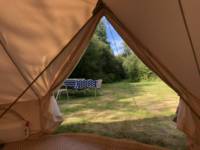 Bell tent tucked away in rural Cornwall