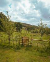 The Twitcher - Luxury Dog Friendly Cabin