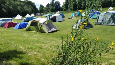 Upper Meadow TENT pitch (vehicle free field)