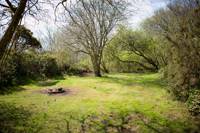 Foxgloves - Wild Camping - Private Pitch