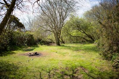 Foxgloves - Wild Camping - Private Pitch