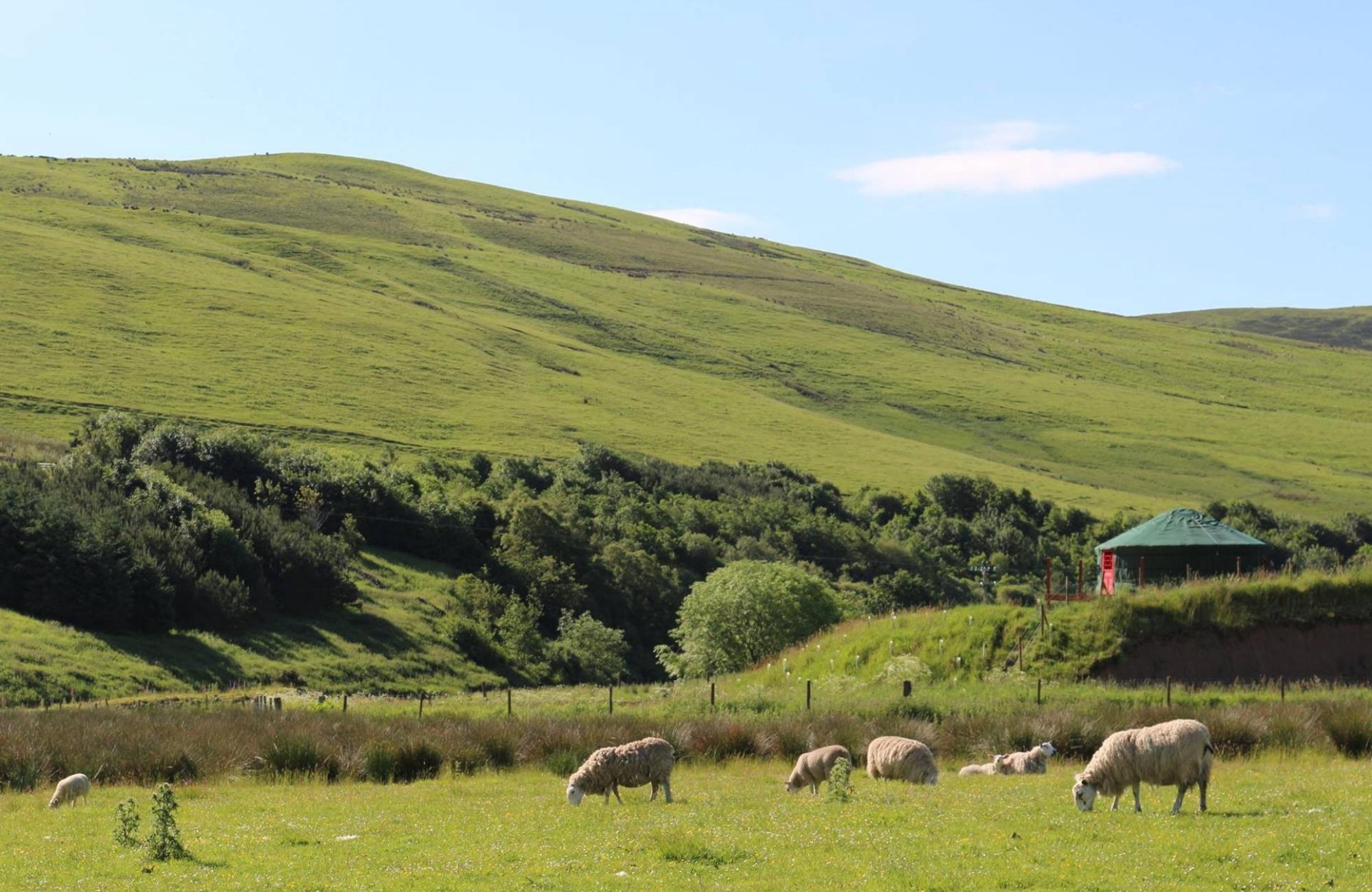 Glamping in the Scottish Borders – The highest-rated glamping locations
