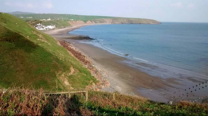Grass Pitch with Electric