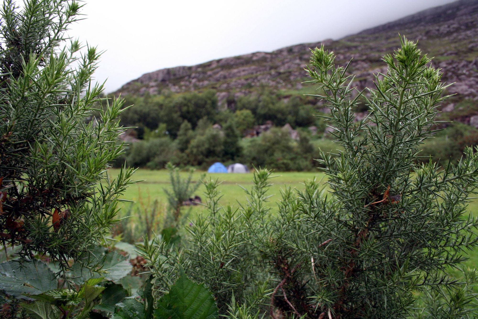 Campsites in Ross-shire – Ross & Cromarty