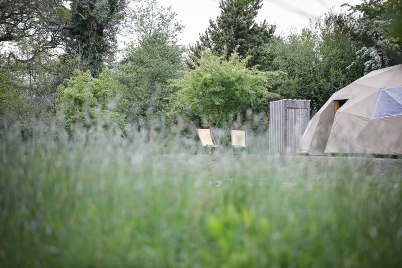 'The Hive'  Geo Dome