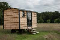 Restorative Cabin