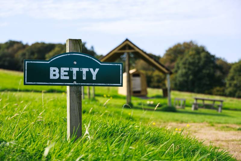 Betty - Ensuite Campervan or Tent Pitch