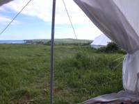 Dandelion Bell Tent
