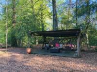 bluebelle cottage