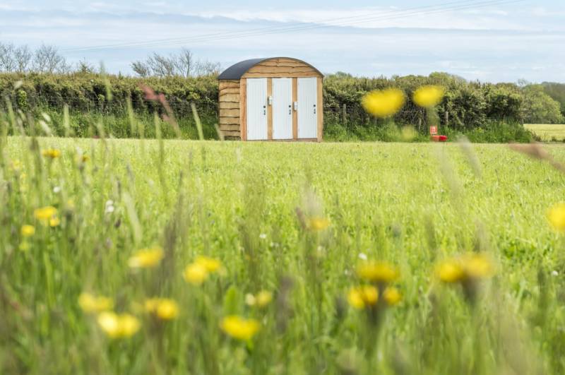 NonElectric Standard Grass Pitch